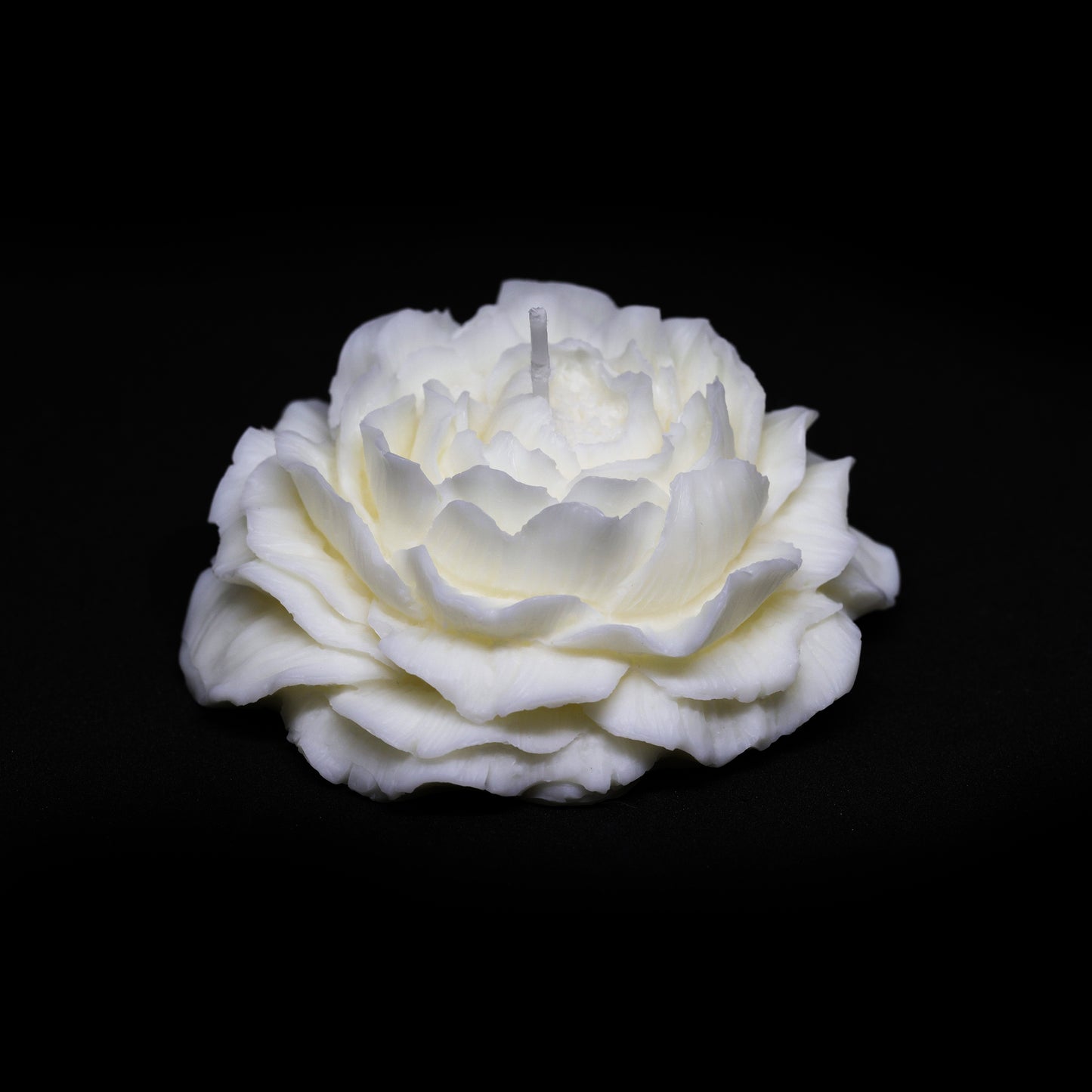 PEONY FLOWERS