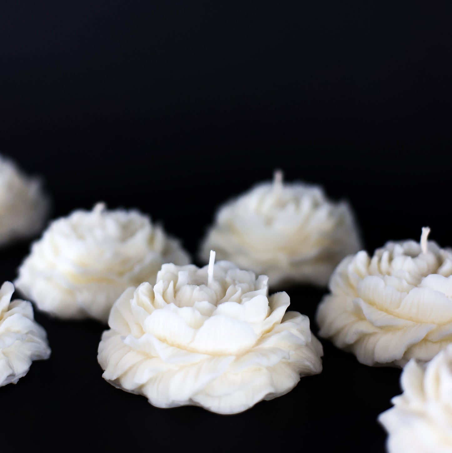 PEONY FLOWERS