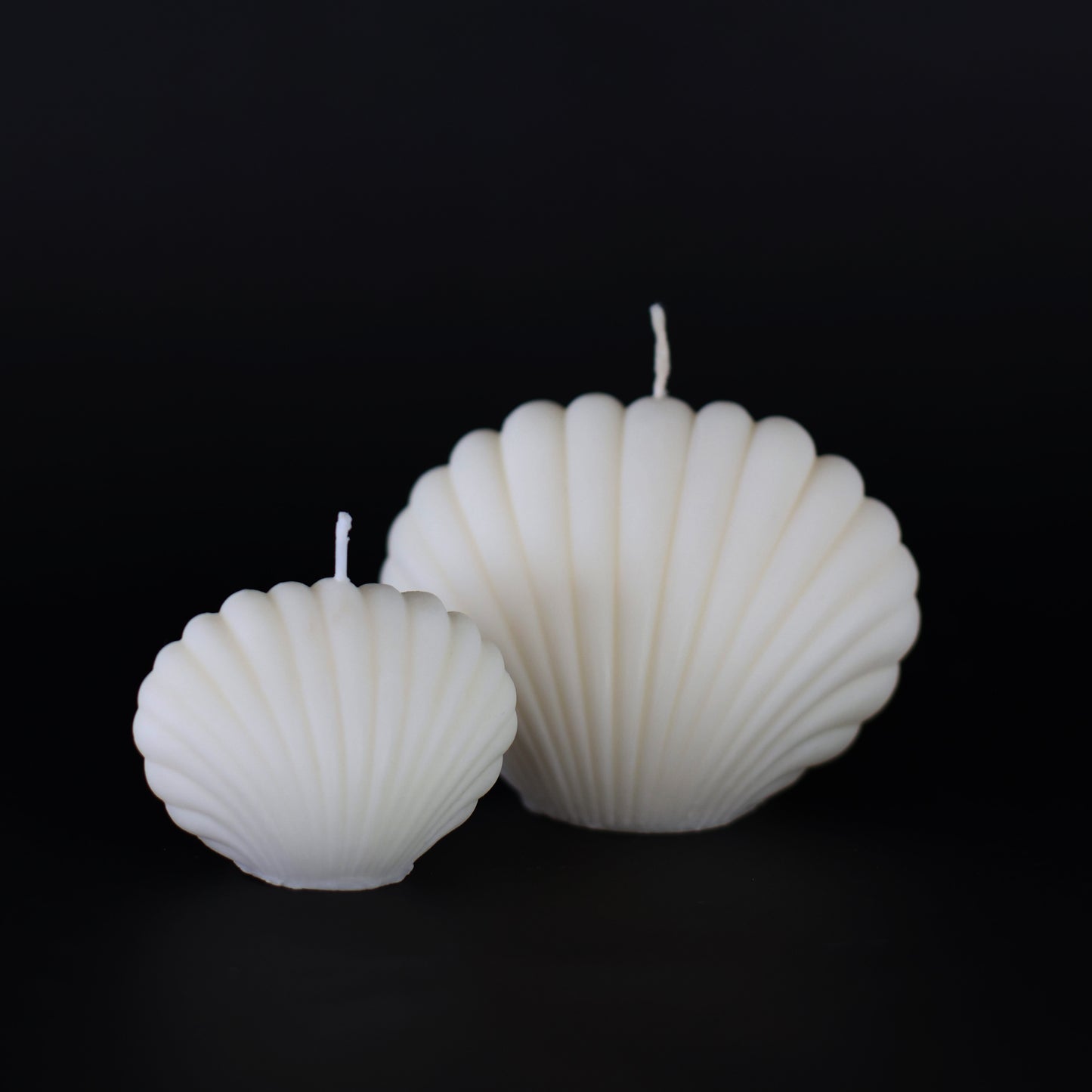 SHELL SET