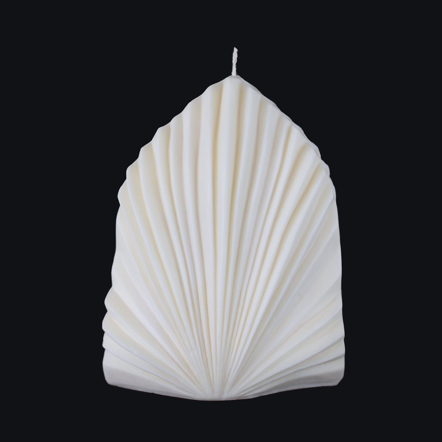 PALM LEAF
