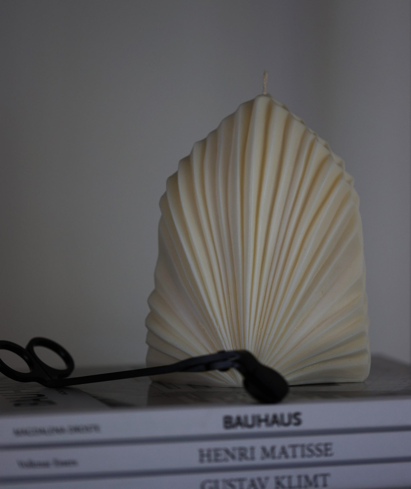 PALM LEAF